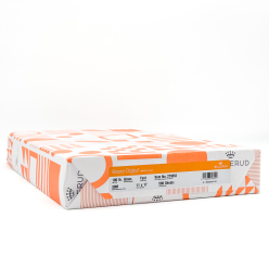 Blazer Gloss Text 11x17 100lb/148g 500/pkg