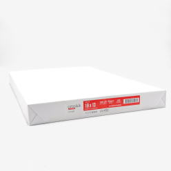 Omnilux Opaque Digital 19x13 100lb/271g Cardstock 125/pkg