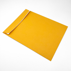 Peel & Seal Brown Kraft Catalog 9x12 28lb 500/box