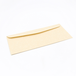 CLOSEOUTS Astroparche Envelope Sand #10 24lb 500/box