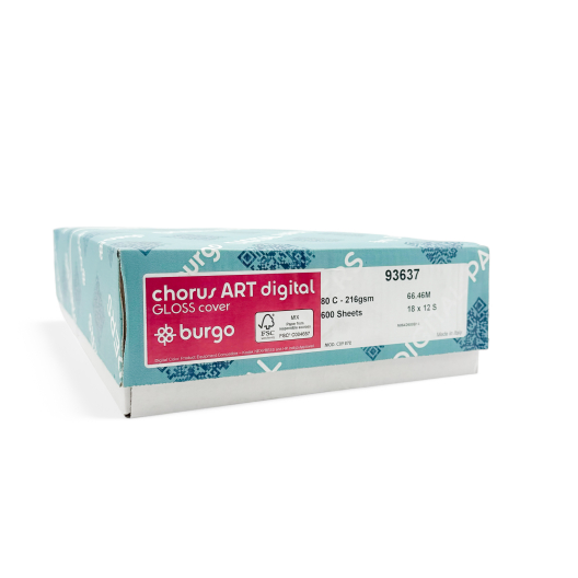 Chorus Art Recycled Digital Gloss 80lb/216g Cardstock 18x12 600/case