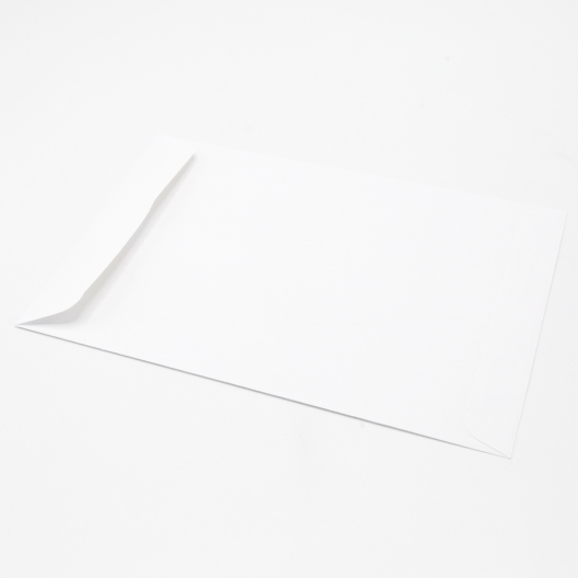 White Catalog 6-1/2x9-1/2 24lb 500/box