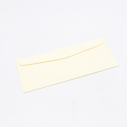 Classic Laid Baronial Ivory #10 24lb 500/box
