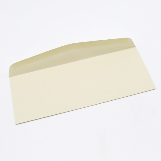 CLOSEOUTS Classic Crest Envelope Saw Grass #10 24lb 500/box