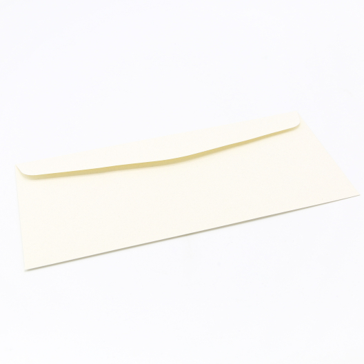 Royal Fiber Natural #10 24lb Envelope 500/box