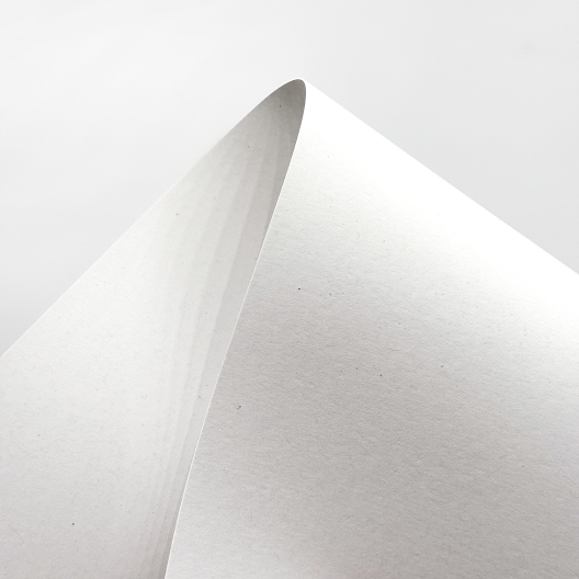 Paperworks Replay 100% PCW Recycled 100lb/271g Cardstock 8-1/2x11 200/pkg