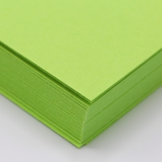 Astrobright Terra Green 80lb/216g Cardstock 18x12 250/pkg