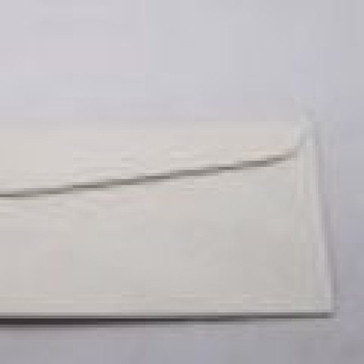 Astroparche Envelope Gray #10 24lb 500/box