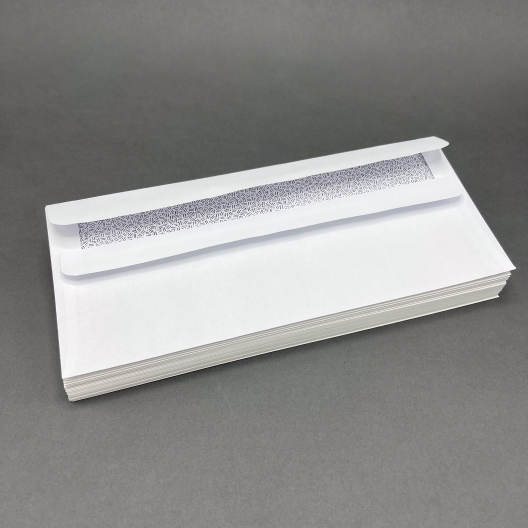 Simple Seal #10 24lb Regular Security Tint 500/box