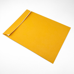 Peel & Seal Brown Kraft Catalog 10x13 28lb 500/box