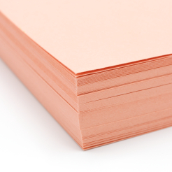  Basis Premium Cover 11x17 80lb Coral 100/pkg 