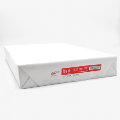  Omnilux Opaque Digital 13x19 28/70lb/105g Paper 500/pkg 