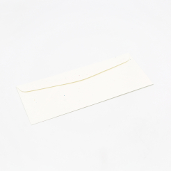  Astrobright Envelope Stardust White #10 24lb 500/box 